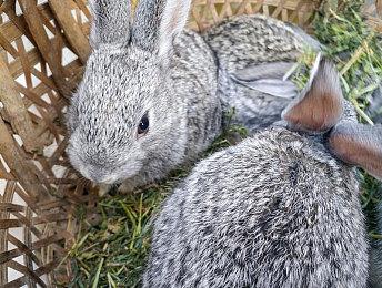 第一人称射击游戏《逆战：未来》首测定档：2024年第三季度